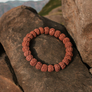 rudraksha bracelet 27 beads